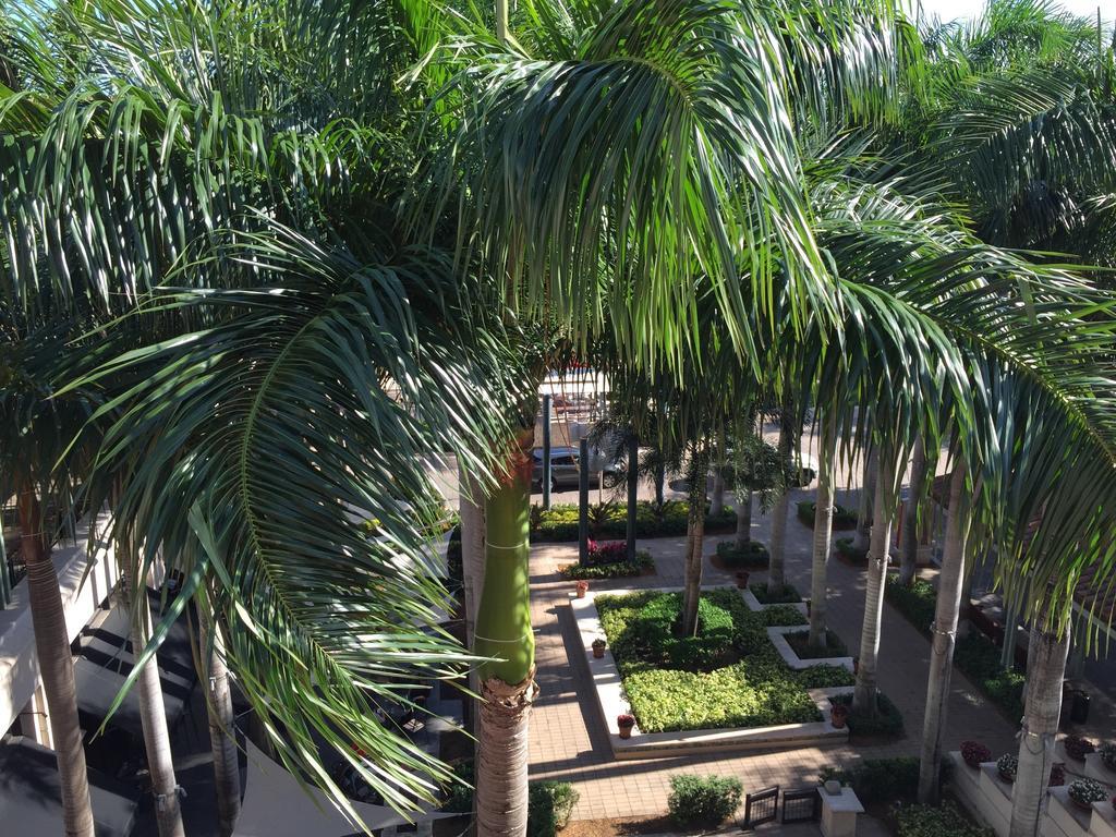 Lyx Suites At Merrick Park In Coral Gables Ruang foto